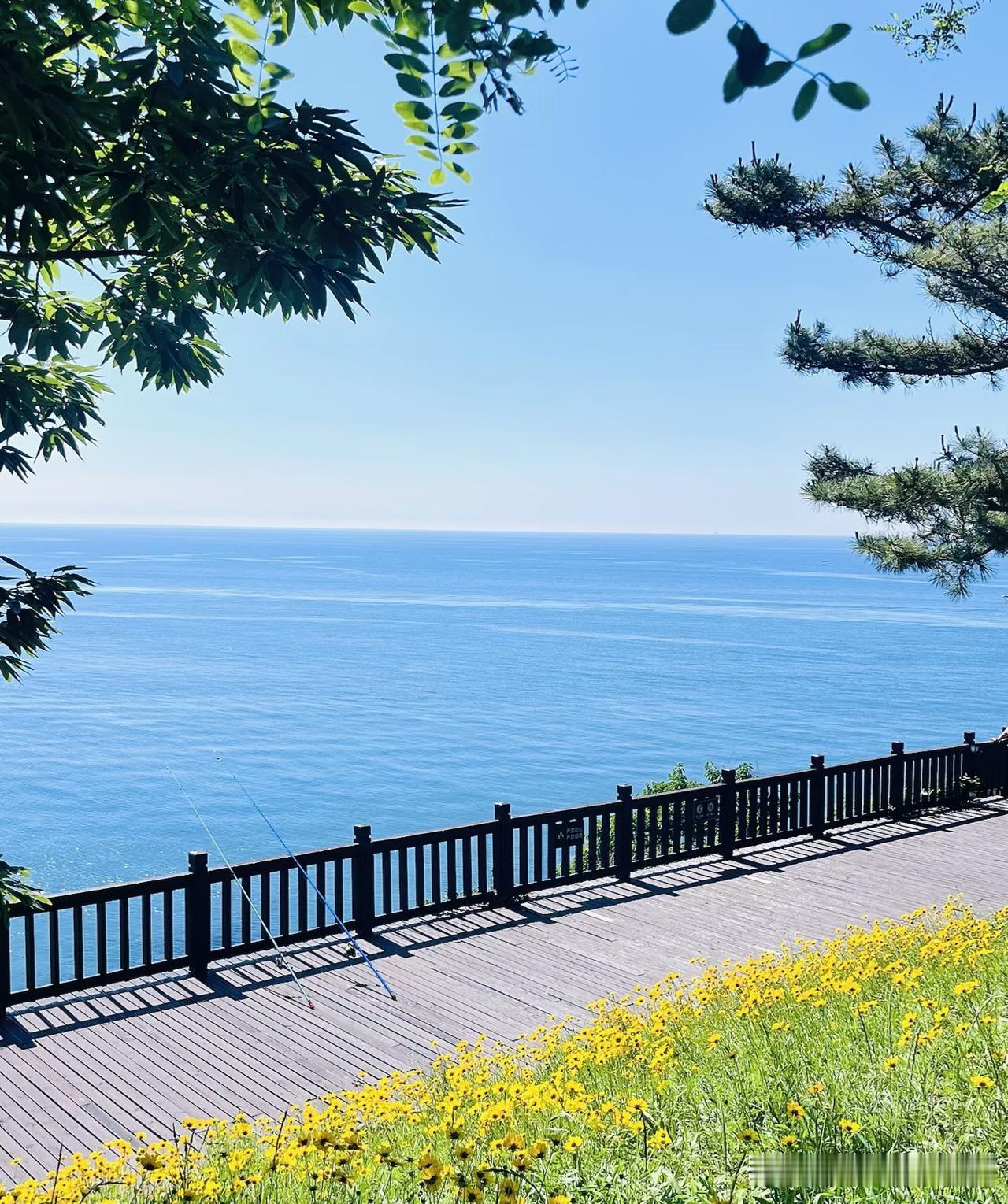 赴一场与海的浪漫之约，你知道这个季节的大连有多爽?

朋友邀我去外地游玩，我说哪