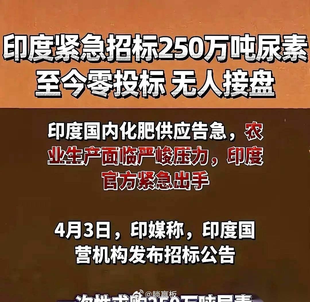 印度最近办了件大事，全球招标买尿素，公告发出去，就一句话撂桌上：你们这些供应商，