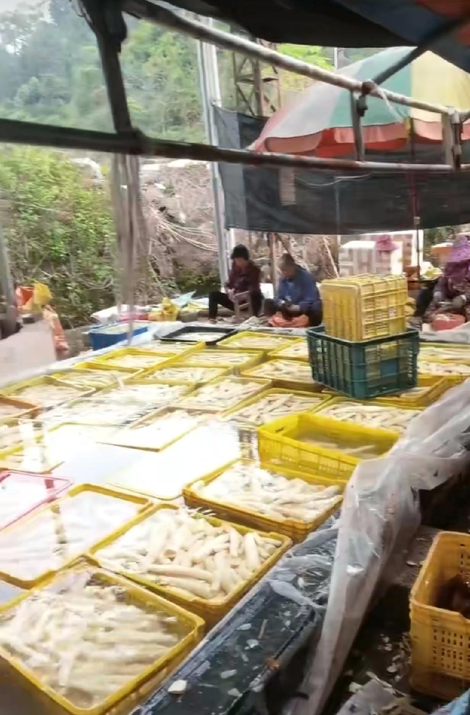 我老家广西宾阳县有一句非常经典的俗语叫“欠过刮木薯。”翻译过来大概意思就是：“比