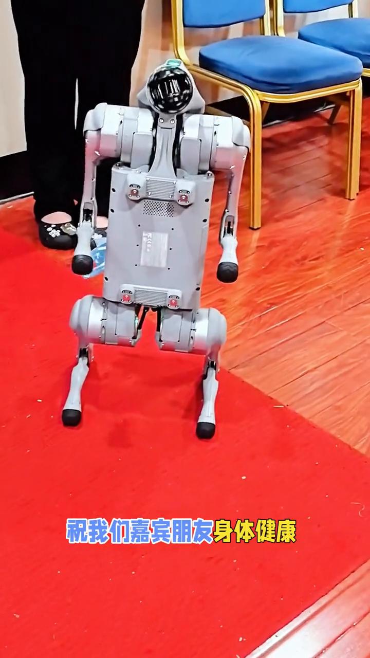机器狗旺财洛阳献艺，挥手拜拜比心。
旺财机器人现场秀高难舞。
嘉宾朋友们大吉大利