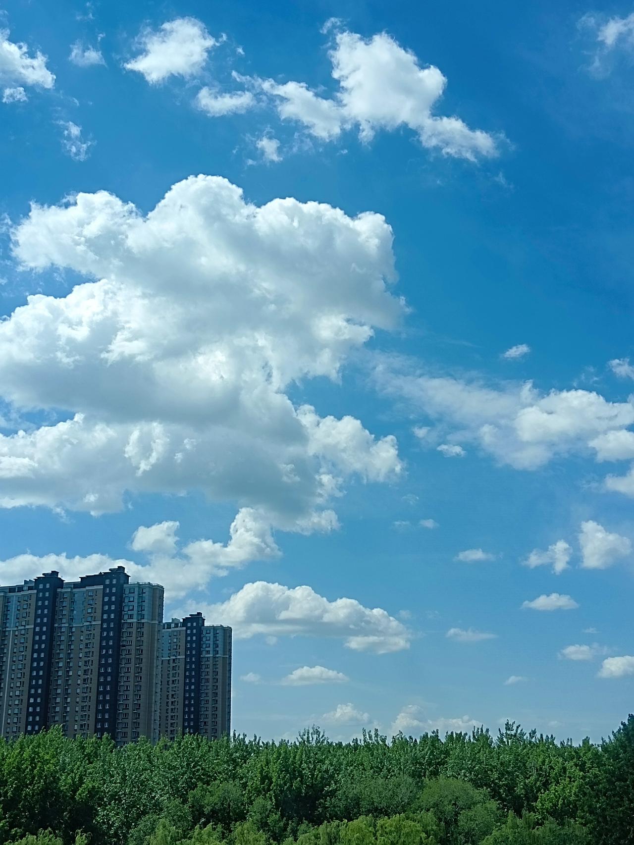 连着刮了两天大风，尘土飞扬，枝叶乱舞，整个城市都被喧嚣的风声裹着，让人心里也是乱