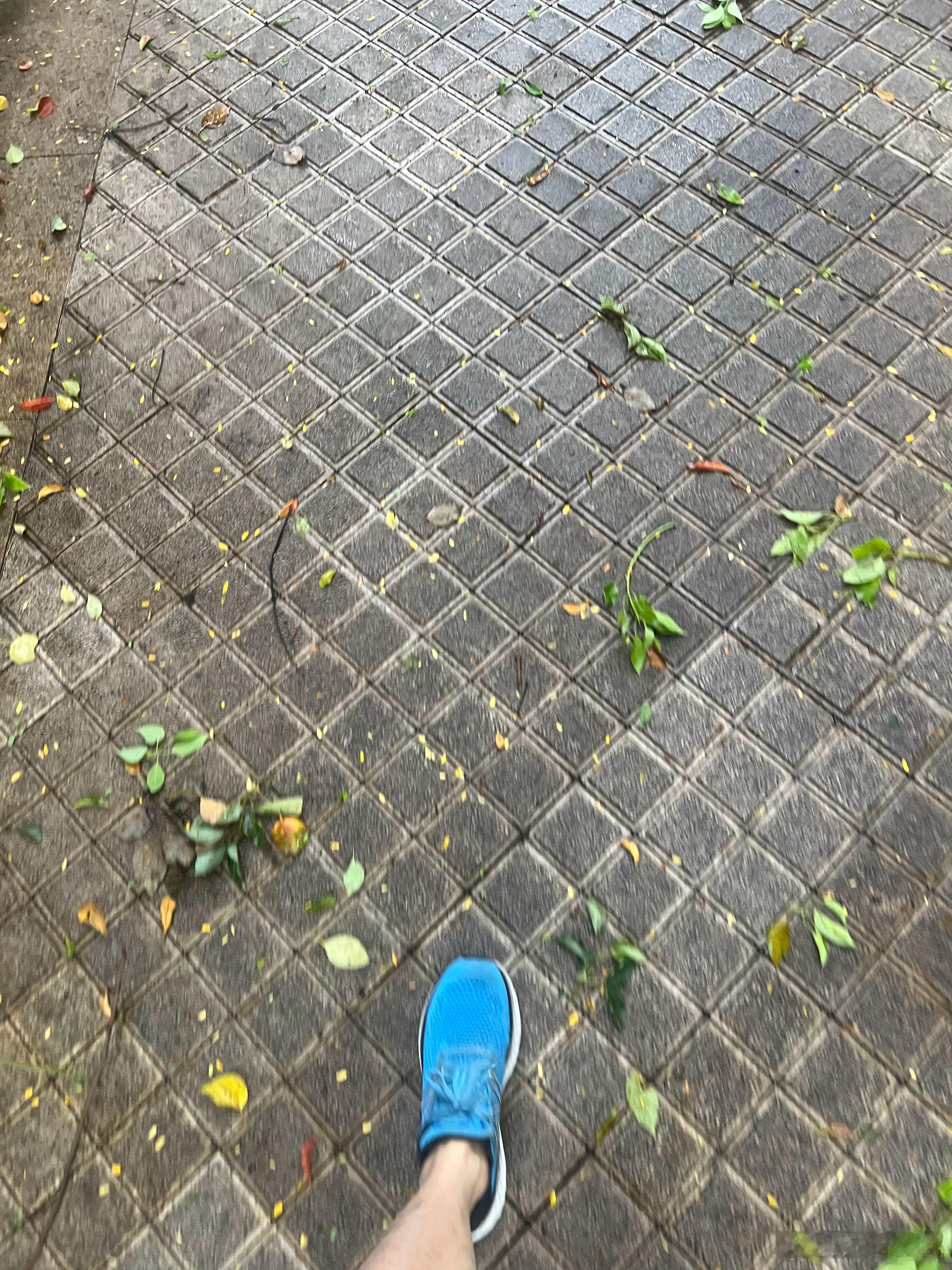 平时跑步要低头，因为怕有蛇今天跑步又得抬头，因为怕树被台风刮倒耳朵测风速15米/