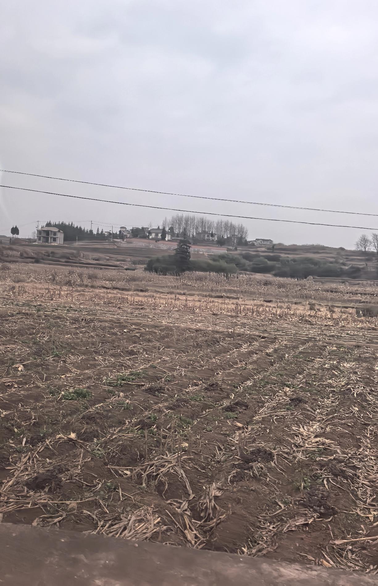 总听身边退休的朋友吐槽，明明有十几年的老工龄，办退休时视同缴费年限却没被认定，白