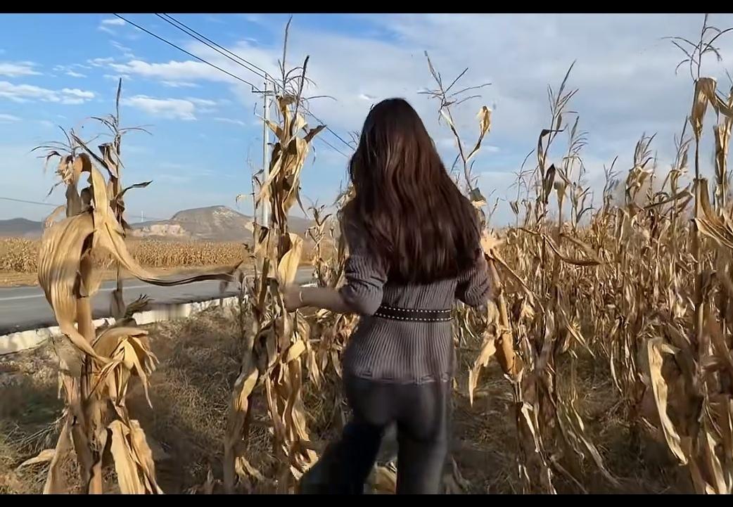 高梁红，玉米黄，庄稼地里寻新娘。
天空蓝，河水清，找了媳妇忘娘亲。