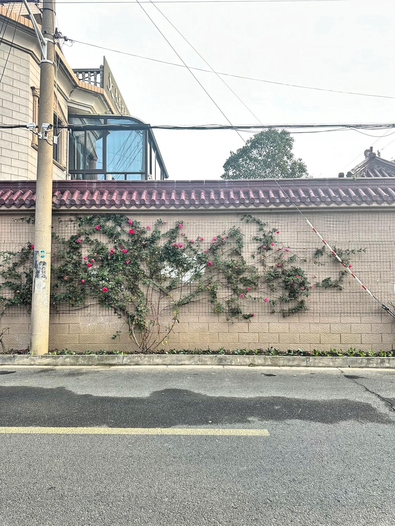 发现一个超棒的新年活动！就是头条的「开新年·刮刮乐」。
只要发个带图的微头条，就