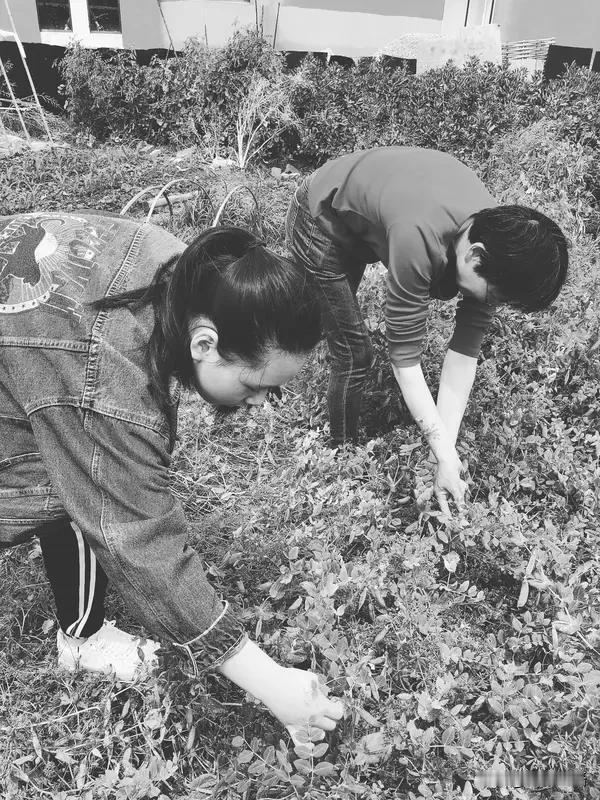 谈心愿太费脑，扛着锄头挖野菜去！
     掐指一算，身材要卷赢，孩子成绩要开挂