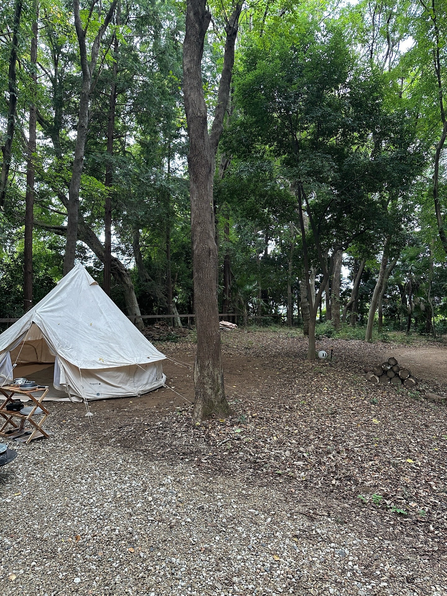 梅澤美波「🍂 YouTubeにソロキャン動画がアップされてます〜 良い日でした