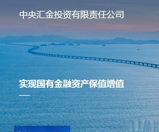 中央汇金公司到底多有钱？10月11日，沉寂已久的中央汇金公司突然祭出大动作，拿出