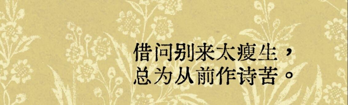 "瘦生！这一句有点打动哦！"借问别来太瘦生，总为从前作诗苦。唐·李白《戏赠杜甫》