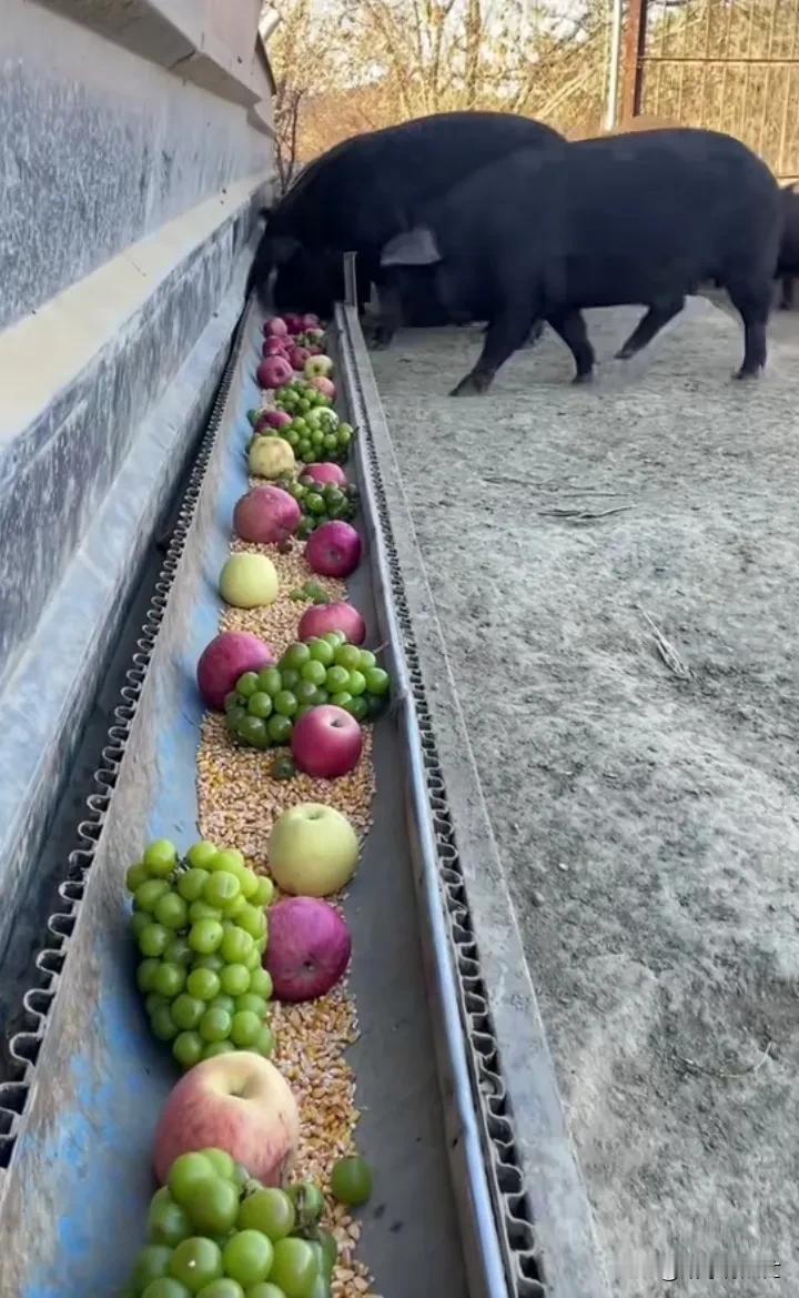 给我留个位置啊…[惊呆][惊呆]