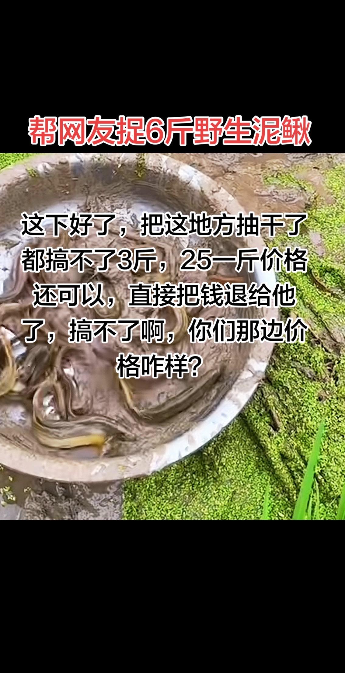 这老板给我100块钱定金叫我帮他捉六斤野生泥鳅，可惜我这边太少了直接把钱退给他了