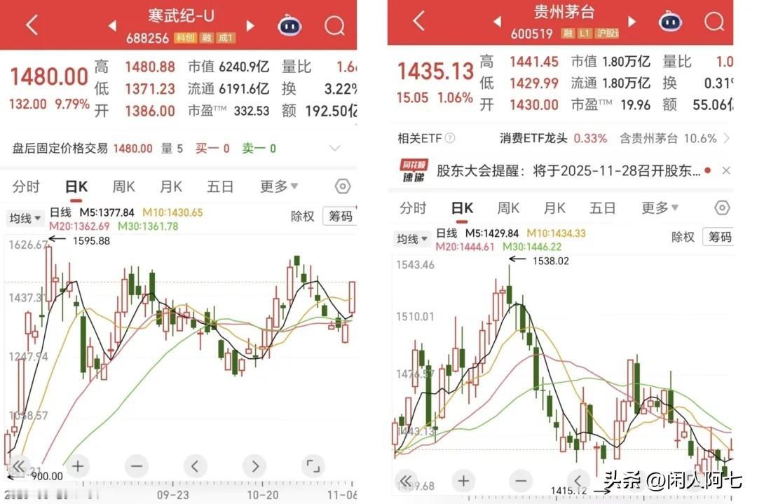 截至今天收盘，寒武纪股价上涨9.79%，报1480元/股，超过贵州茅台1435.