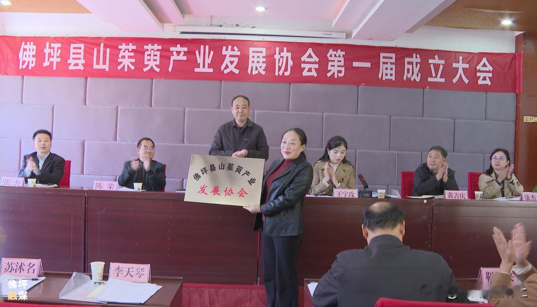 10月23日，佛坪山茱萸产业发展协会第一次全体会议召开，全县各镇（街道）、有关部