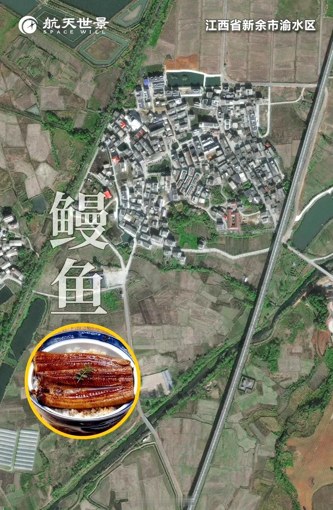 江西省新余市渝水区卫星图（10）