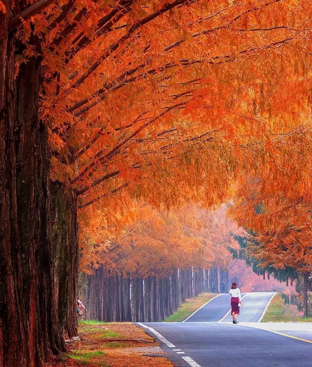 #上联：春赏百花齐放，对下联#
[玫瑰][比心][送自己一朵花]
下联:秋览红粉