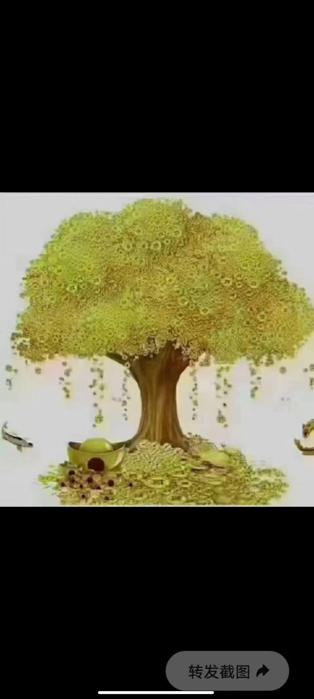 今天都为孩子种金树，
我也为我的孩子种一棵大金树，
为孩子遮风挡雨！
愿孩子20