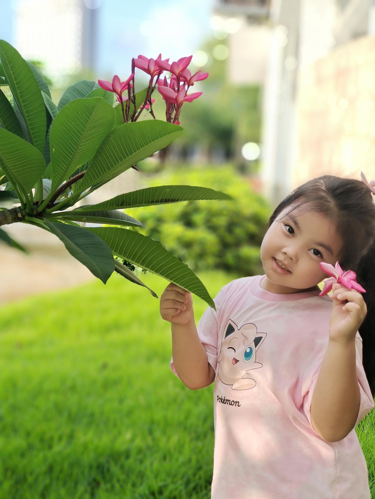清晨从睡梦中缓缓醒来，心底冒出的第一个念头，便是愿日子安稳顺遂，家人平安无忧。褪