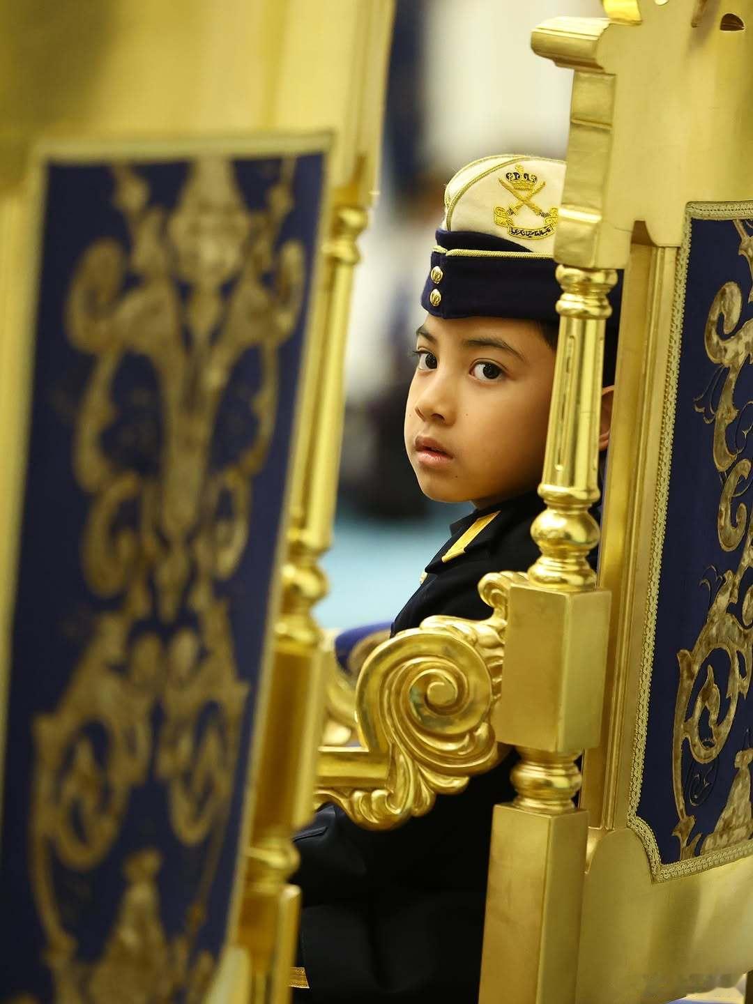 马来西亚王室 🇲🇾5月20日，柔佛王储妃卡丽达获授柔佛苏丹易卜拉欣最高勋位，