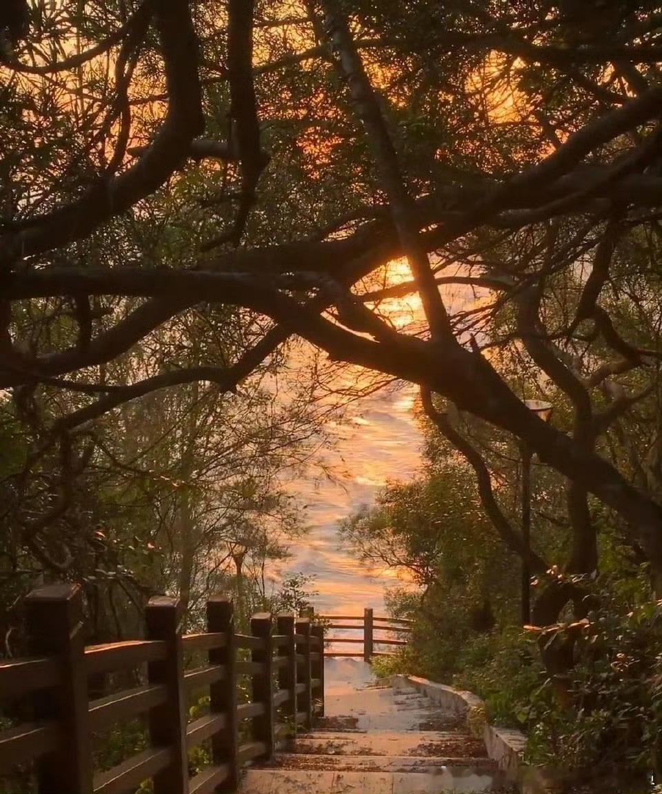 一个洞穴是黑暗的，只要有光打的进去，黑暗就不再是他的宿命，大洋是隔绝的，沙漠是危