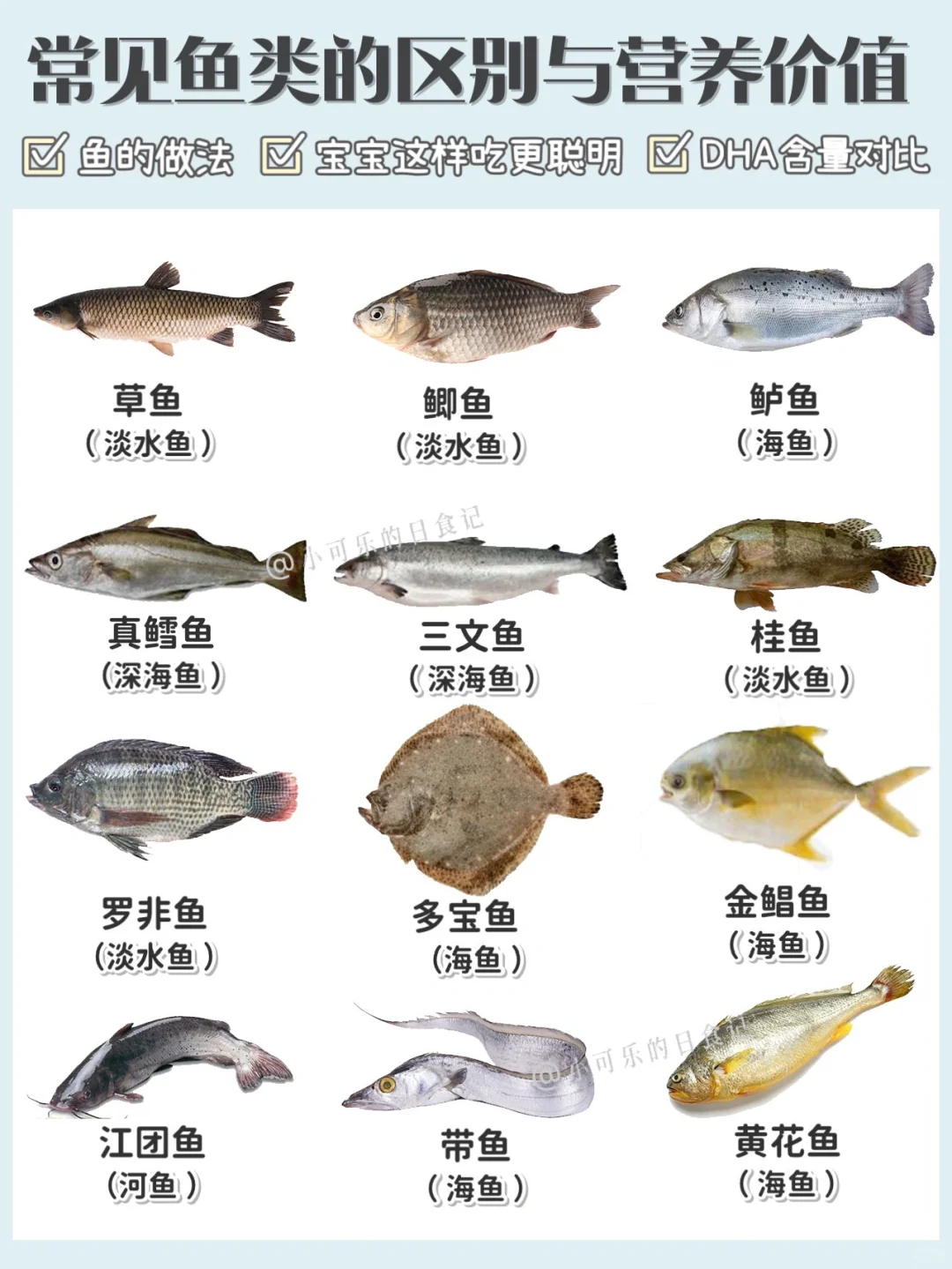 常见鱼🐠的区别营养价值和做法‼️鱼类说明书