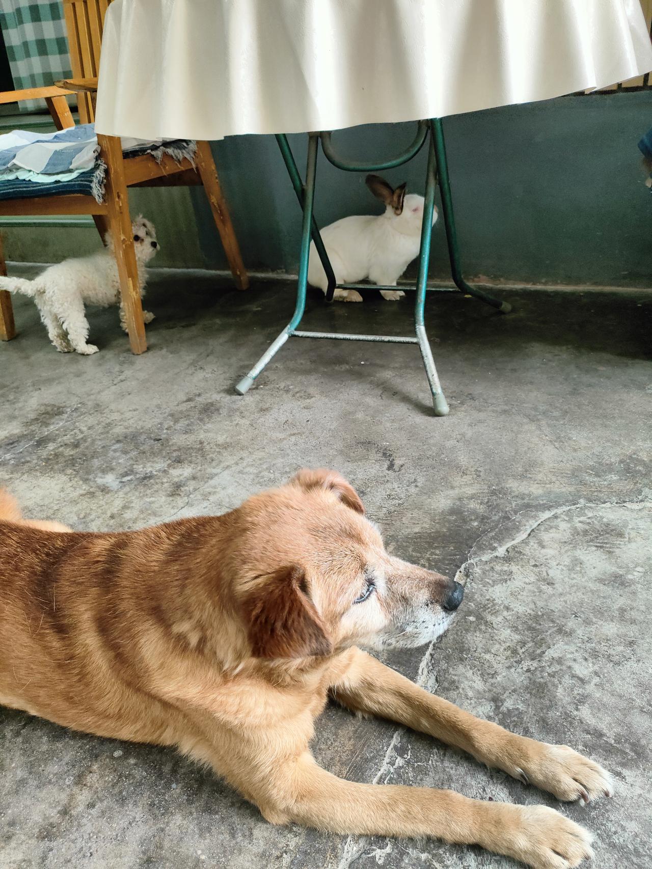 我的今日状态：😁轻松愉快
我这里的天气：🌤️多云 不必奔赴远方，安稳的日常最