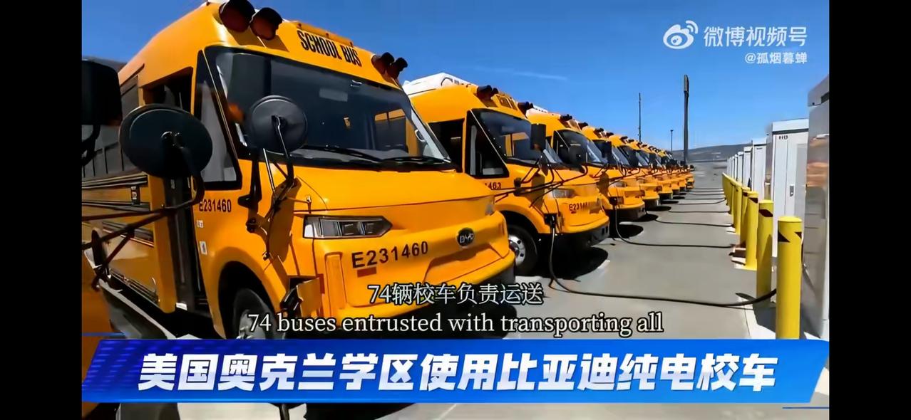 有意思，为什么美国学校非要采购比亚迪校车呢？因为加州他这个采购有一个特殊的要求，