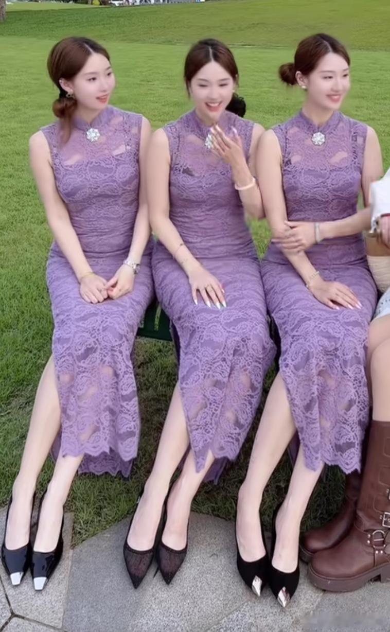洋洋高锐·含羞草～吗◎五月来到草原最美的……是马兰花◎草原的深深处微紫的……倩倩