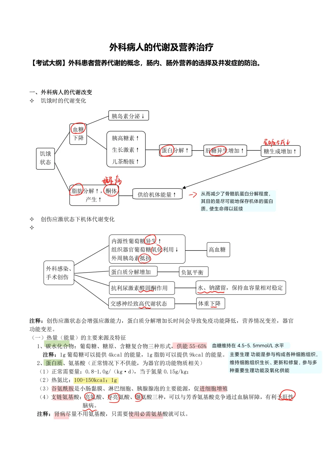 外科学（9）-外科病人的代谢及营养