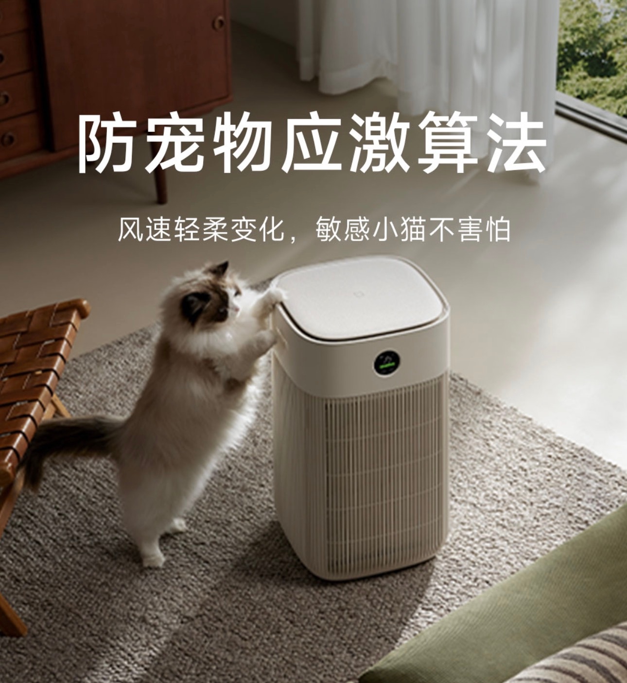 换季过敏如何选空气净化器 说到这个我就来劲了，出差了几天，家里布偶的毛可是满天乱