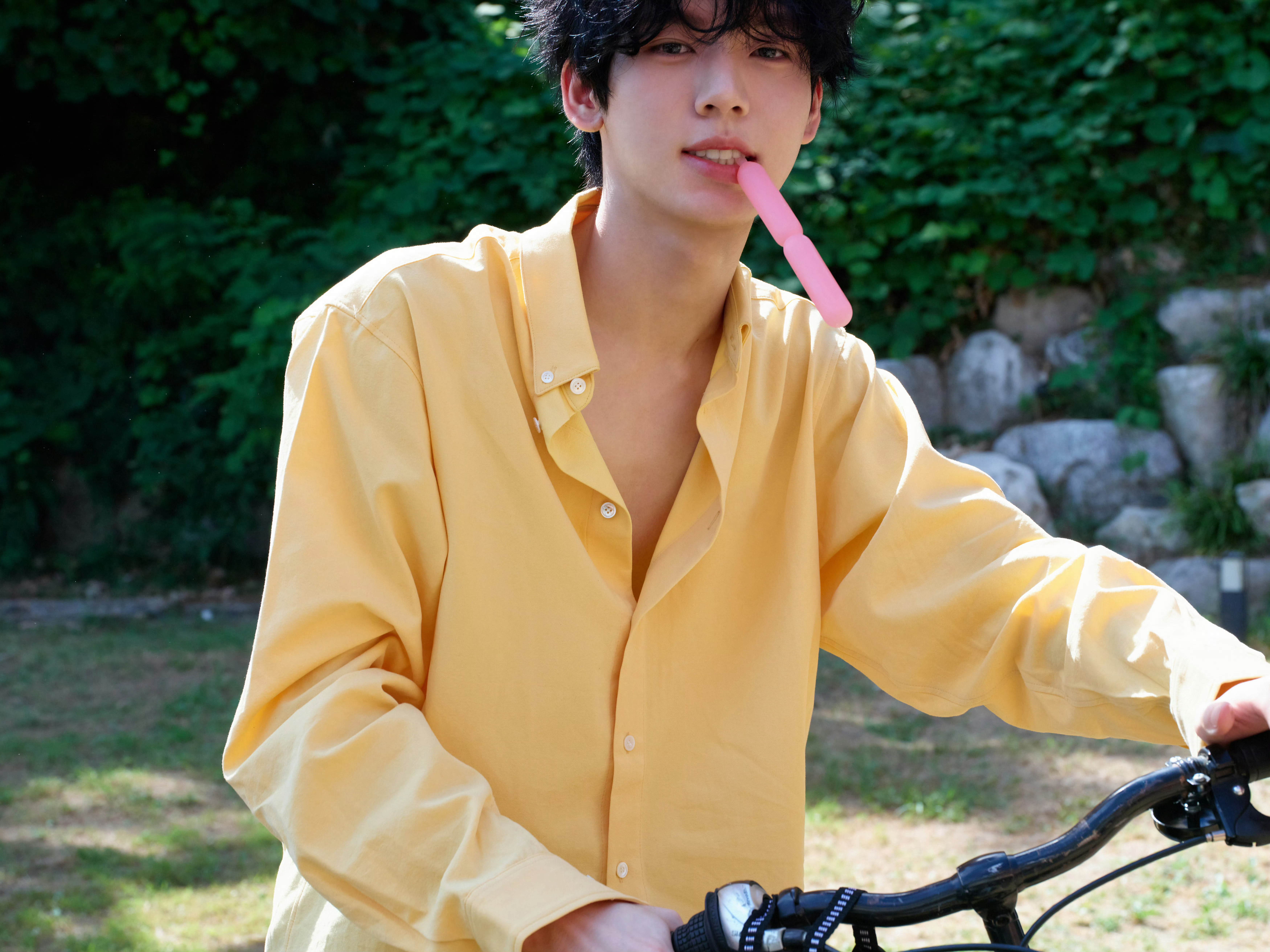 我的卷毛小狗 ​​​