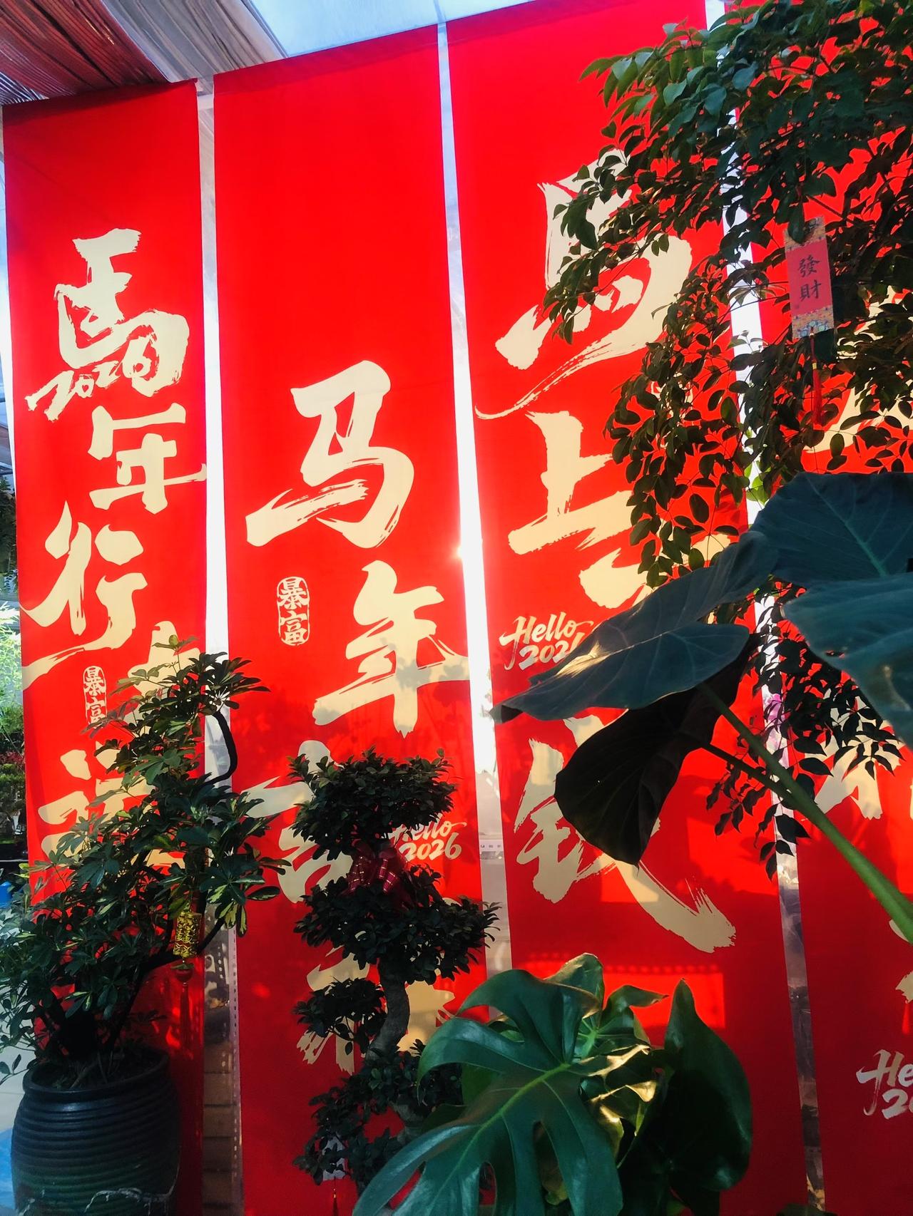 凡是过往，皆为序章。
站在 2026 的起点，愿你我：
心有猛虎，细嗅蔷薇；如骏