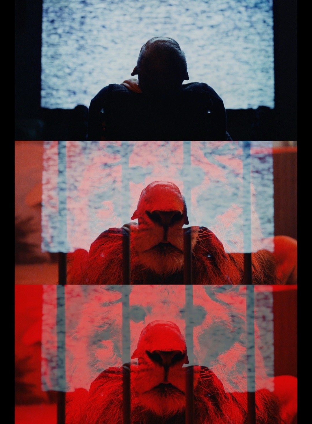 长夜将尽细节控狂喜 梦境里的狮子脚印与牢笼，藏着叶晓霖的灵魂困境，她共情痛苦选择