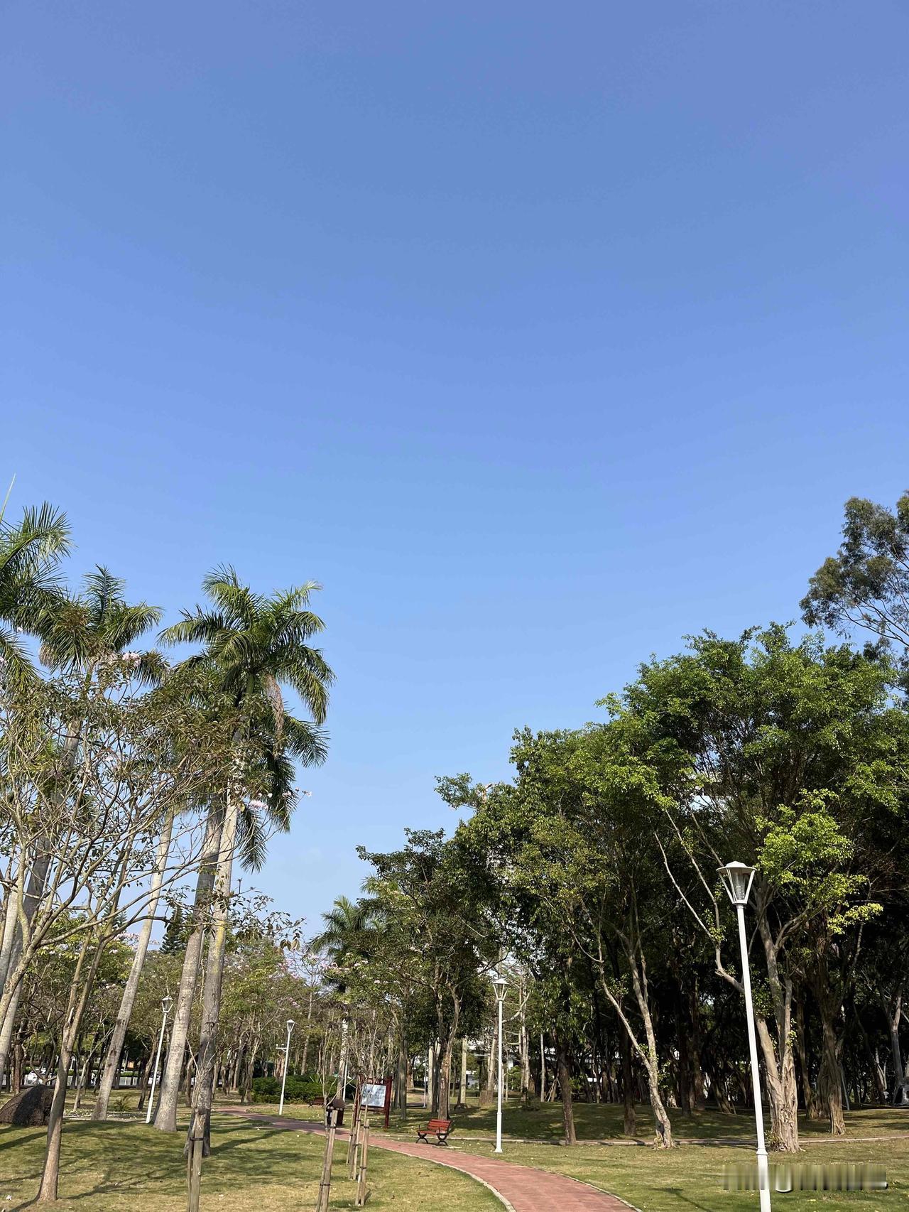 资治通鉴：任何人都不能深交，永远记住：

是任何人，

你对谁掏心掏肺，谁就能掏