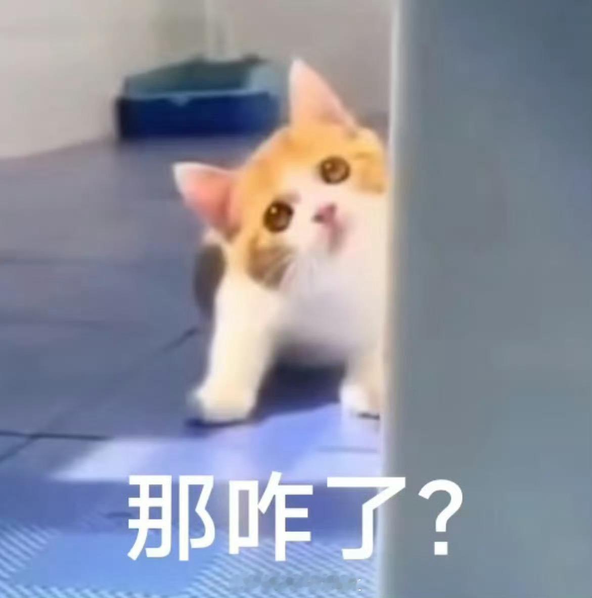 #推文[超话]# 又到了一月一度， 交出大家近期看过最佳的完结言情文和连载言情文