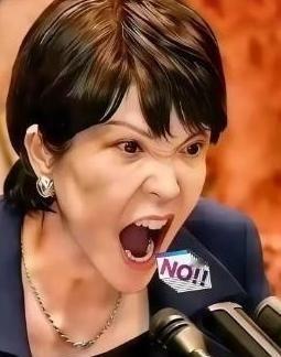 就在所有人都觉得该收手的时候，两个日本巨头，三菱和索尼，突然在中国市场砸下了重注