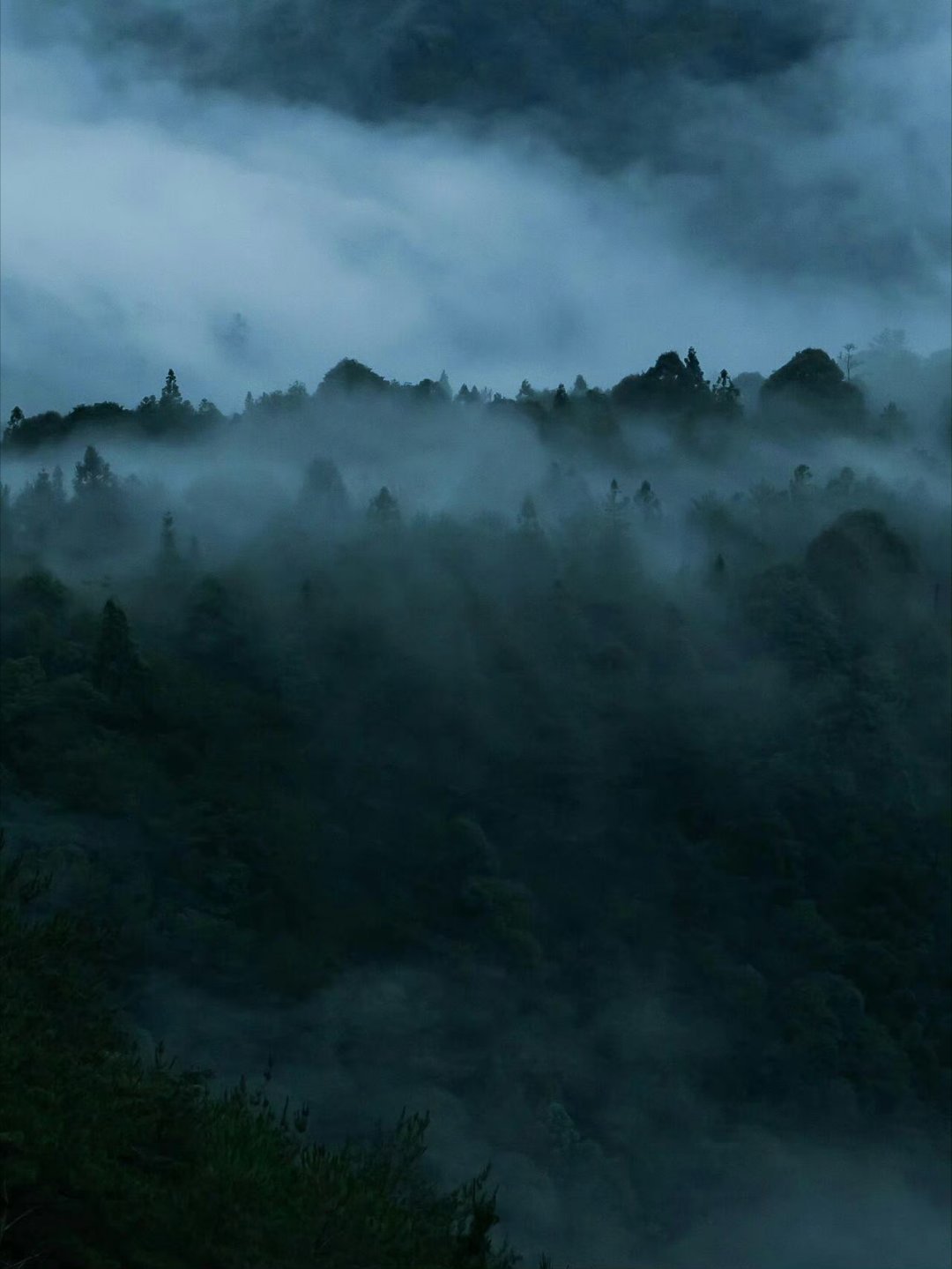 山林不向四季起誓，荣枯随缘；海洋无需对岸承诺，遇合尽欢。—— 简媜 