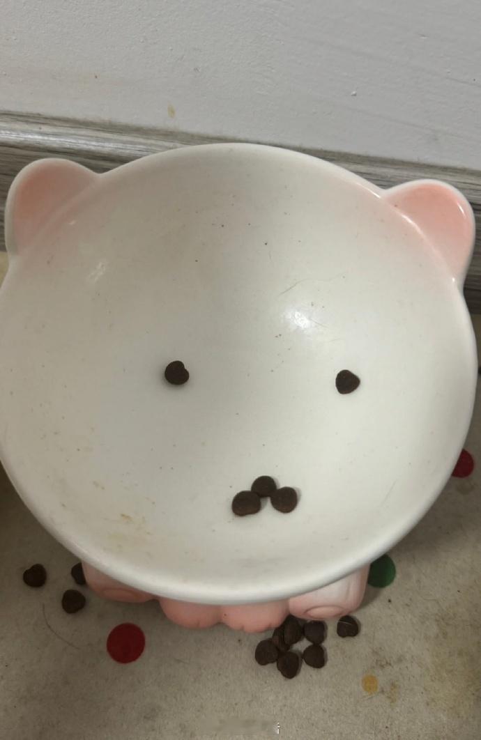 猫粮这样摆是什么意思🤔 ​​​
