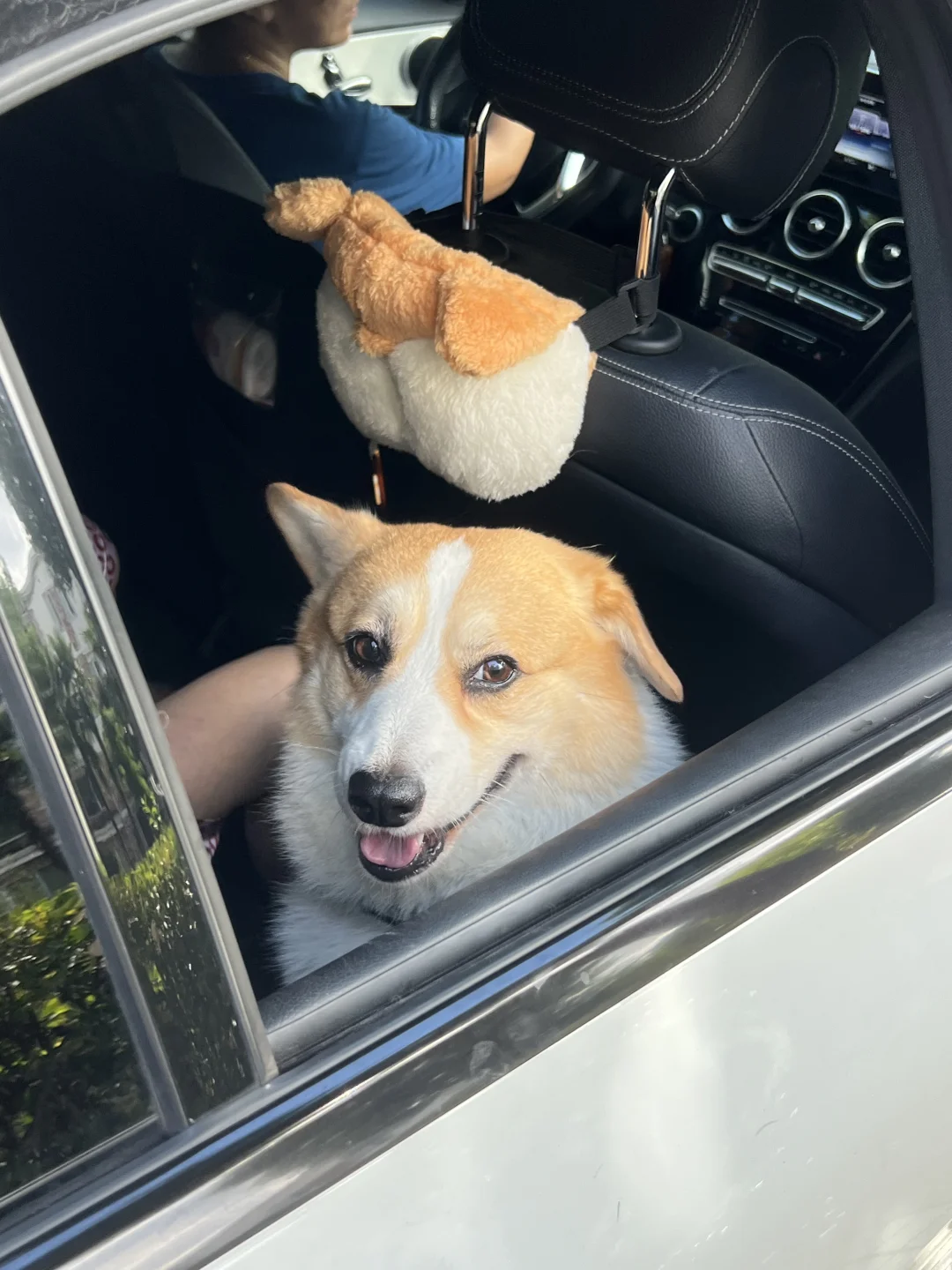 告诉俺娘 俺不是孬种