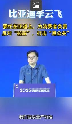 比亚迪李云飞怒怼行业乱象！放话：