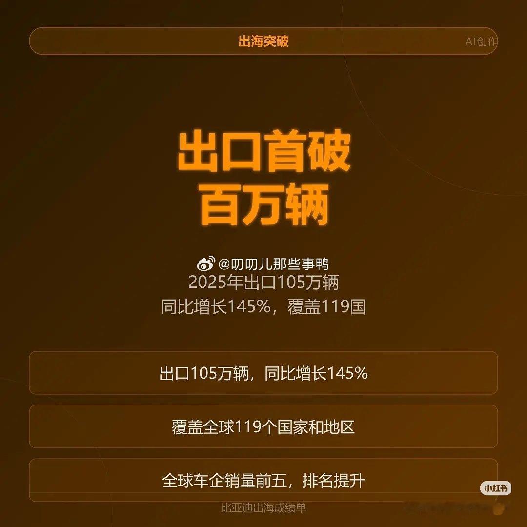 比亚迪2025年经营年度报告～