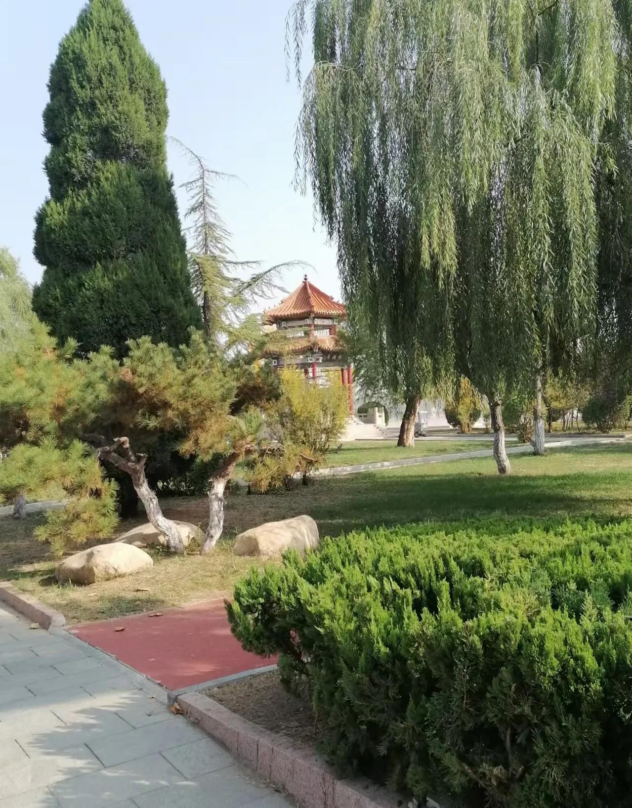  懂得在必要时刻装傻充愣，让自己像迷雾般神秘，这是一种巧妙的处世之道。

自身利