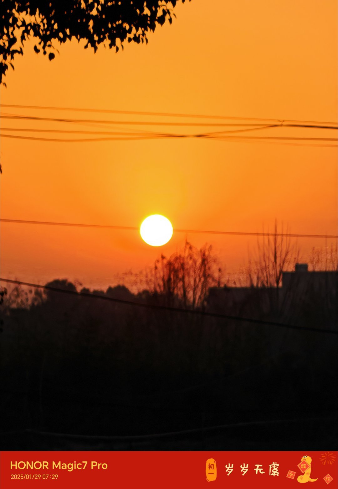 早，今天的太阳好圆[可爱] 