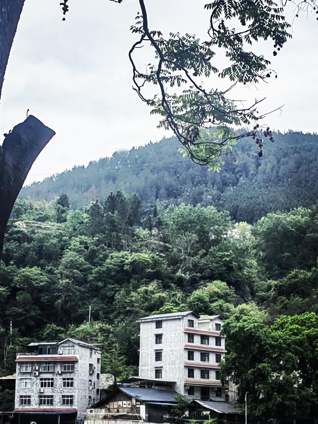 我发现了一个秘密
多数丧夫的女人
基本都不再寻觅新伴
选择独自生活
上班归家后