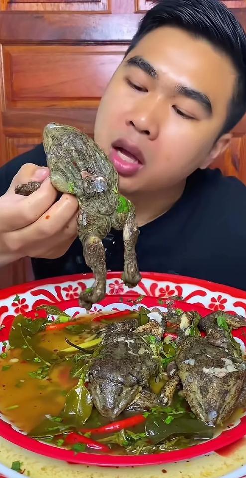 这是吃的癞蛤蟆吗？[恐惧][恐惧]
这不像牛蛙呀，也不像青蛙，更不是林蛙，这不就