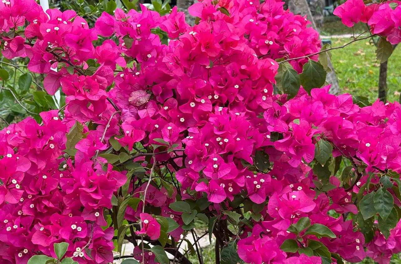 离职第三天，家里的厨房飘着饺子香，本想来顿热腾腾的家常饭，却从调馅起就磕磕绊绊。