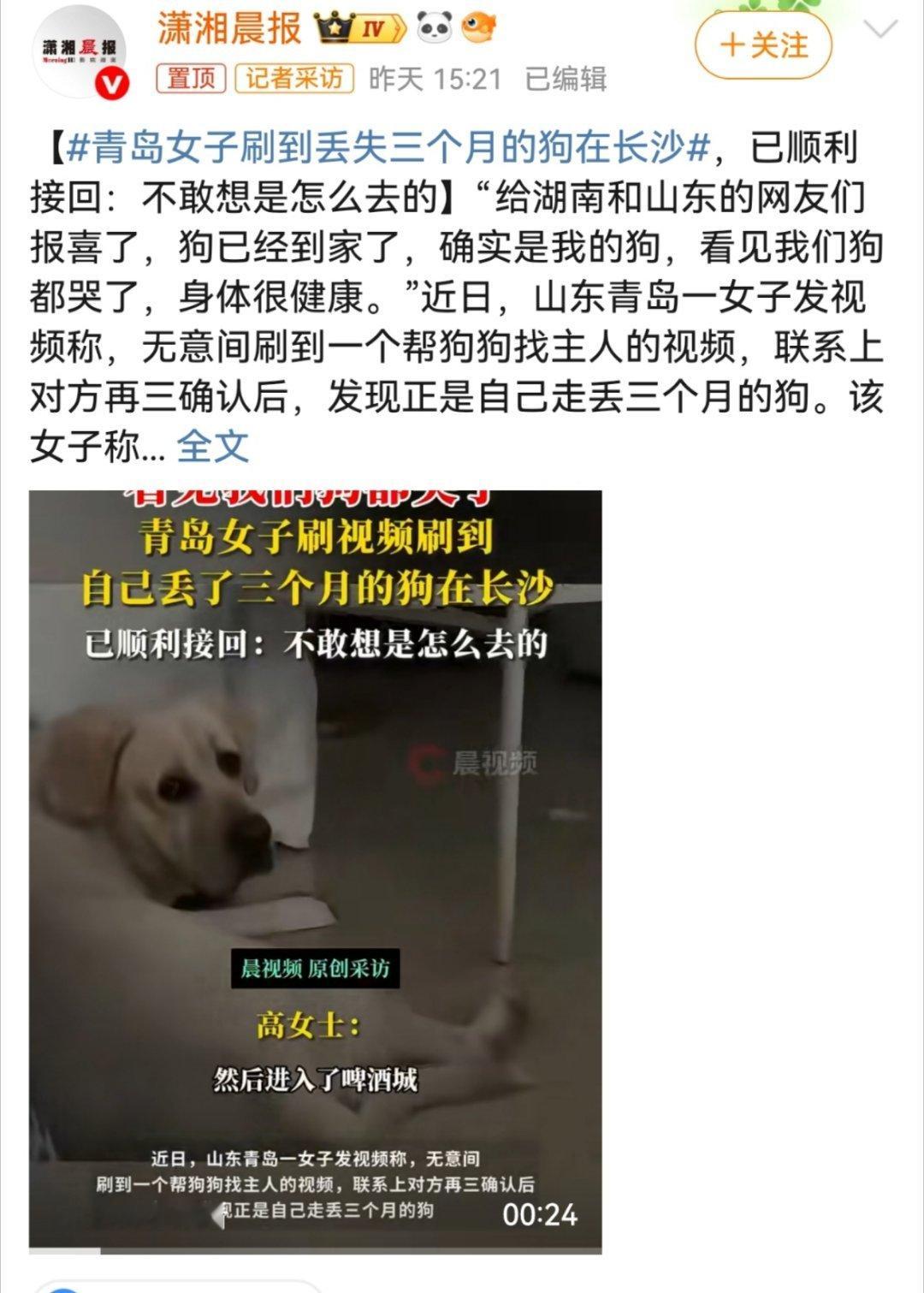 肯定是被偷走被卖到外地的。幸运的是狗狗还活着，没有被卖到狗肉市场……