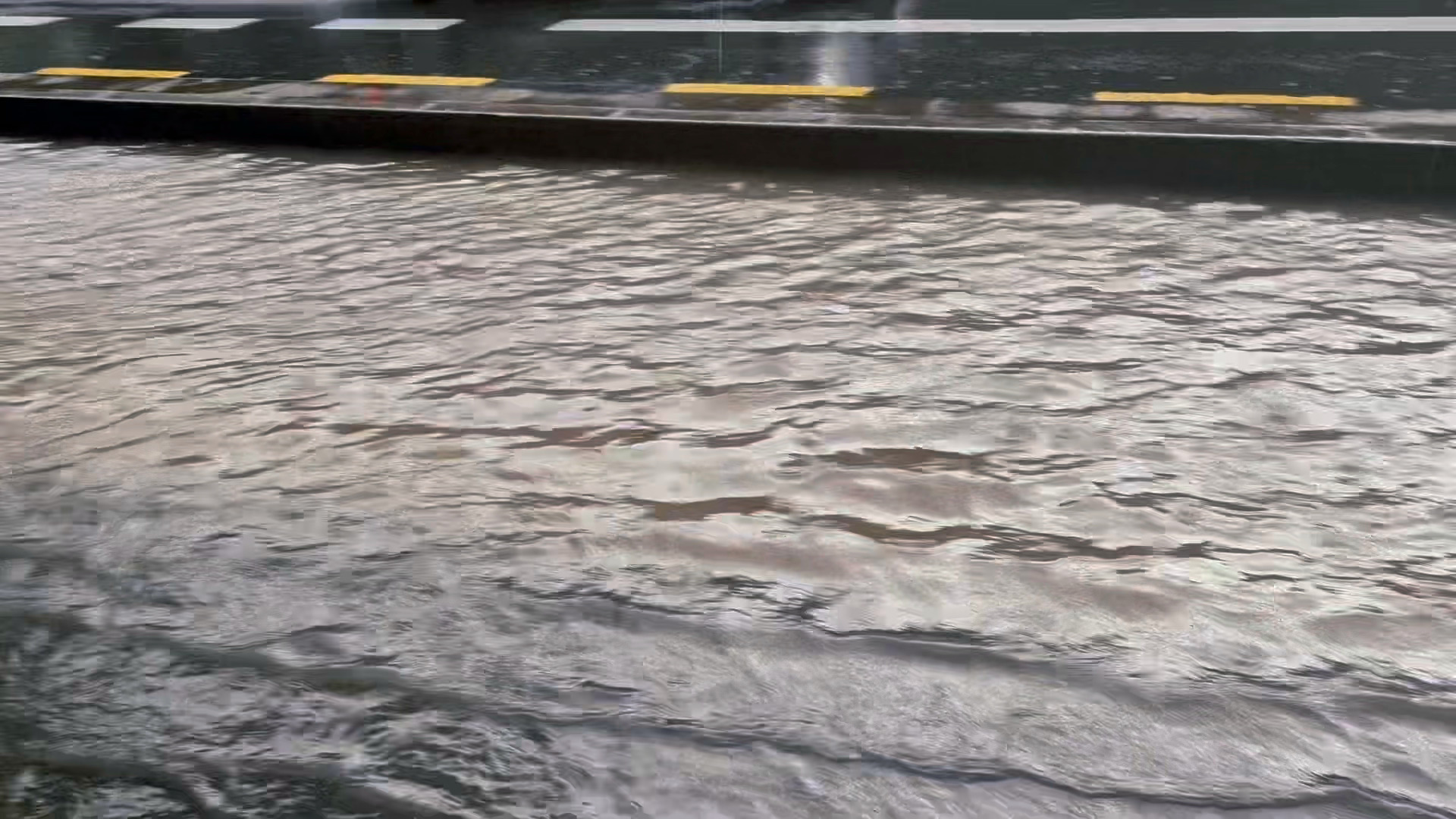 上海暴雨 知道的我在上海不知道的还以为我在海上🥲 ​​​