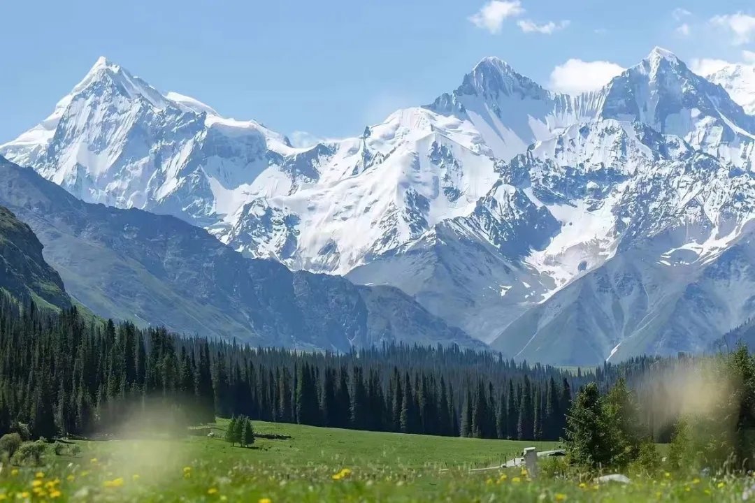认真生活的人，总会被生活温柔以待。 