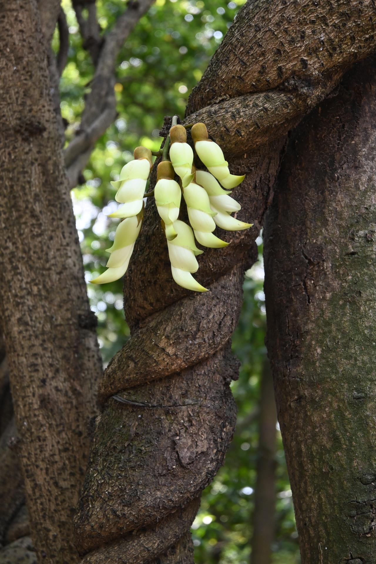 “自律”与“无趣”划等号吗？

那些生活规律、严守原则的人，似乎总少了些随性而为