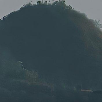 阳光信用 每日一善 熊猫守护者 养权重❗❗❗尊敬的先生我希望在你的Fendi里找